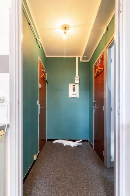 La Chambre Des Secrets / Parking / Wifi Toulouse Ngoại thất bức ảnh